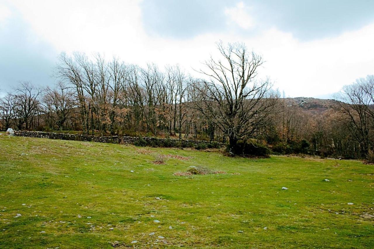 Casa Rural Cristina III San Pablo de los Montes ภายนอก รูปภาพ
