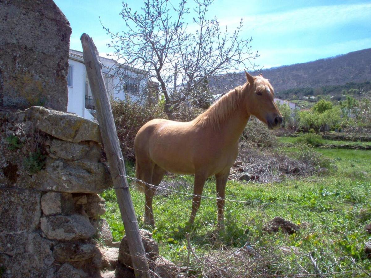 Casa Rural Cristina III San Pablo de los Montes ภายนอก รูปภาพ